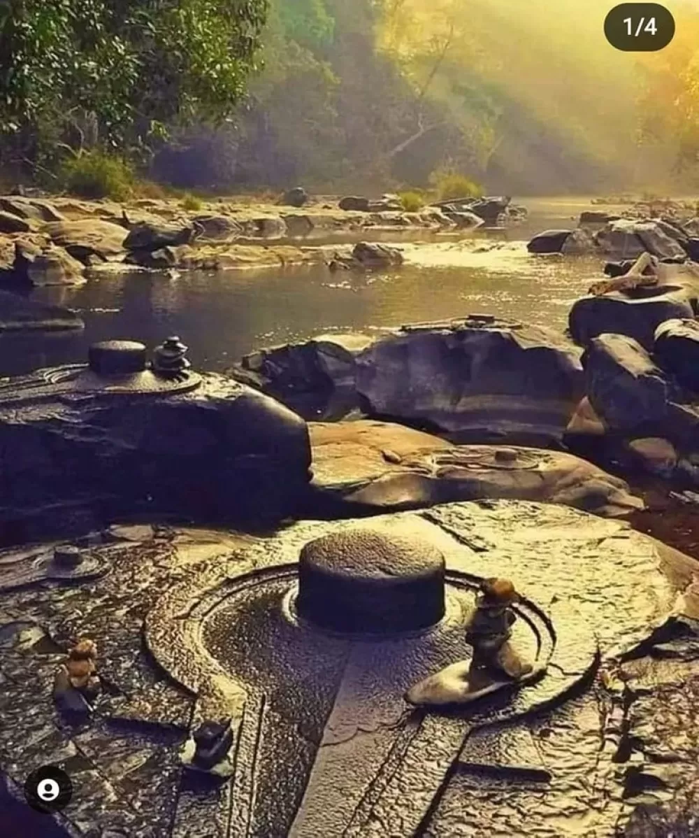 ದೈನಂದಿನ ಚಿತ್ರ